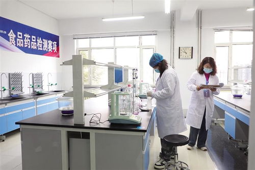 聚英才 展絕活 創(chuàng)未來 信息技術咨詢服務的時代價值