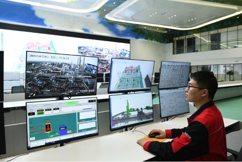 面向數(shù)字化未來，打造化工百年老店的信息技術咨詢服務