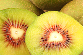 張家界獼猴桃奇異果 綠源紅心獼猴桃專業合作社熱賣促銷