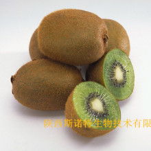 寶雞市特產(chǎn)銷售行業(yè)協(xié)會(huì) 領(lǐng)航獼猴桃產(chǎn)業(yè)，打造“金果”新名片